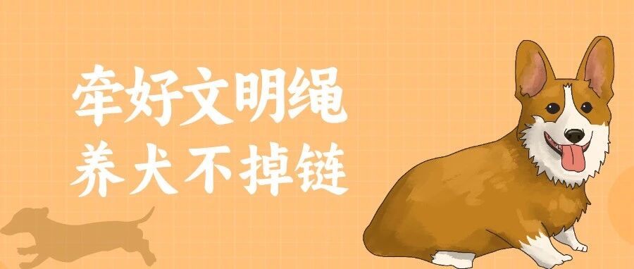 东启小贴士 | 文明养犬快做起