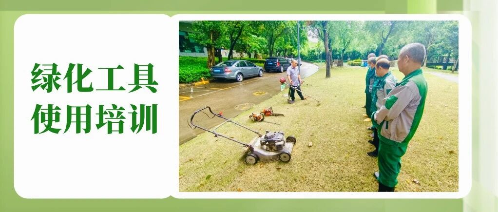 东启物业｜园林绿化培训 强技能促提升