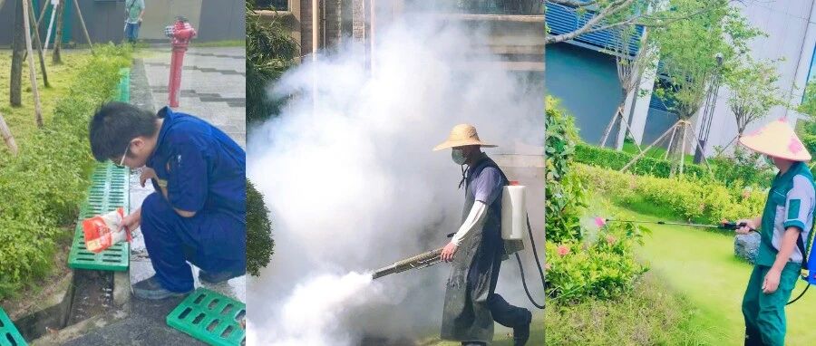 防基孔肯雅热，东启灭蚊在行动！