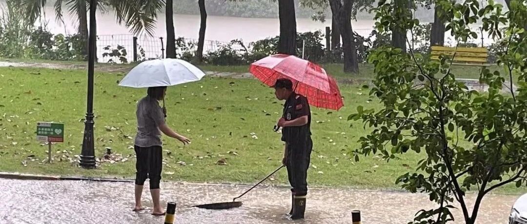 夏日防汛｜风雨无阻，东启物业为您守护家园平安